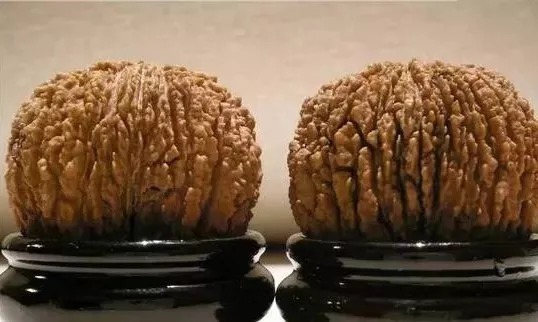 核桃|猴头核桃,你对它了解有多少?