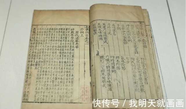 科学家们@一块卖出百万高价,太岁究竟是什么东西?科学研究揭开太岁之谜