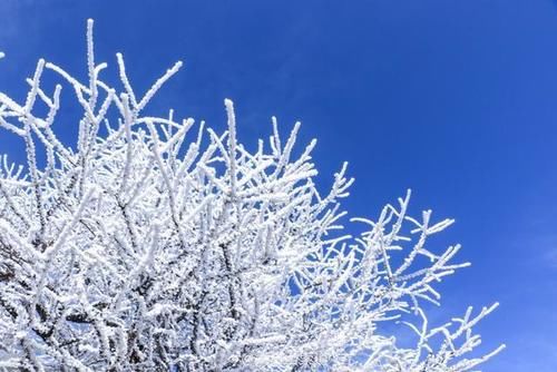 秦岭|秦岭太白山雪后雾凇美景 仿佛置身冰雪童话世界