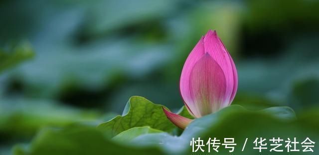 真言&多少人败在不会做人牢记四字真言,人生少有灾祸,福气不请自来