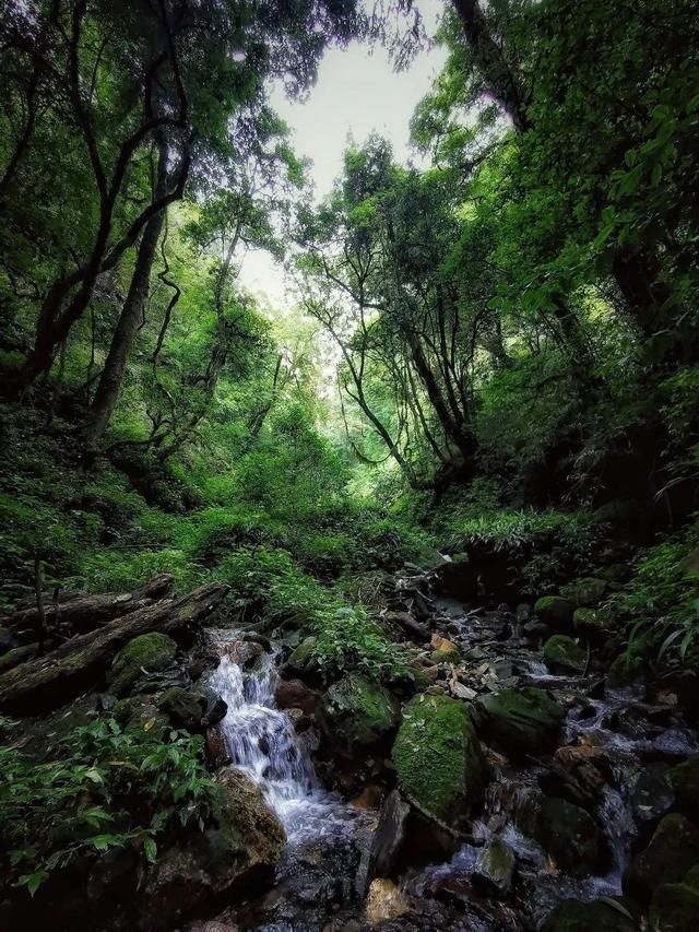 自驾线|不输独库，一日四季，与丙察察一样刺激的最美云南自驾线