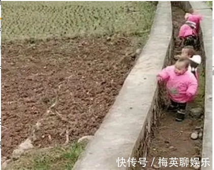 孩子|精明奶奶巧带娃,一人“圈养”4胞胎,网友妙赞“接地气”