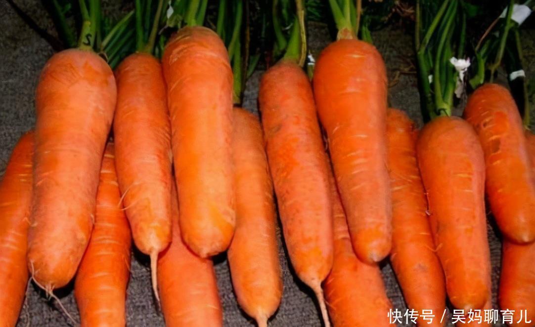 胡萝卜|原来吃虾皮并不补钙?医生:真正补钙的3种食物,很多人并不爱吃