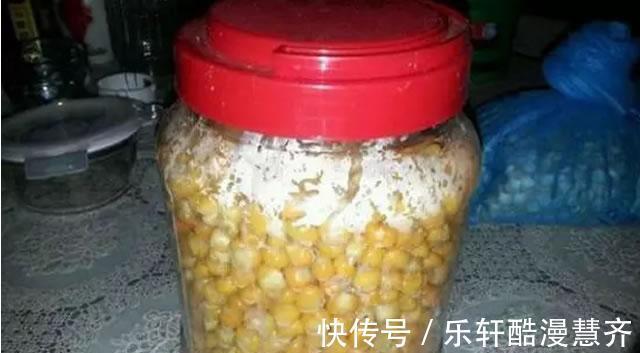碎米|学会这两种自制饵料,专门钓秋天的大草鱼,效果谁用谁知道