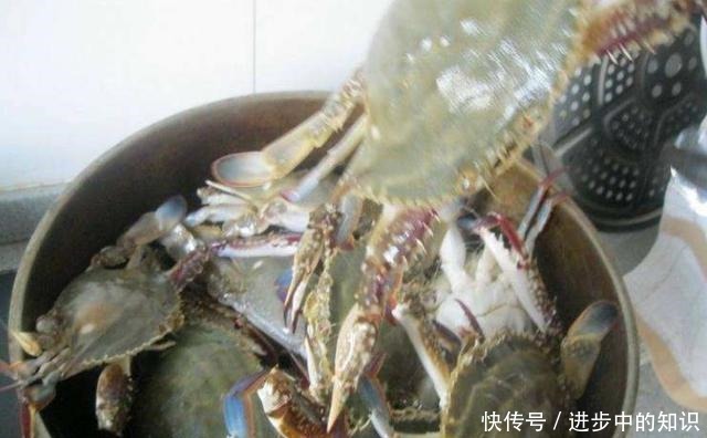 蒸螃蟹,只肚脐朝上是“外行”!教你正确做法,鲜香入味不流黄