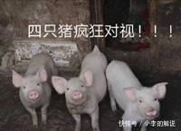 谎言|比「蹭蹭不怀孕」更恶劣的谎言,99%的女生都被骗过