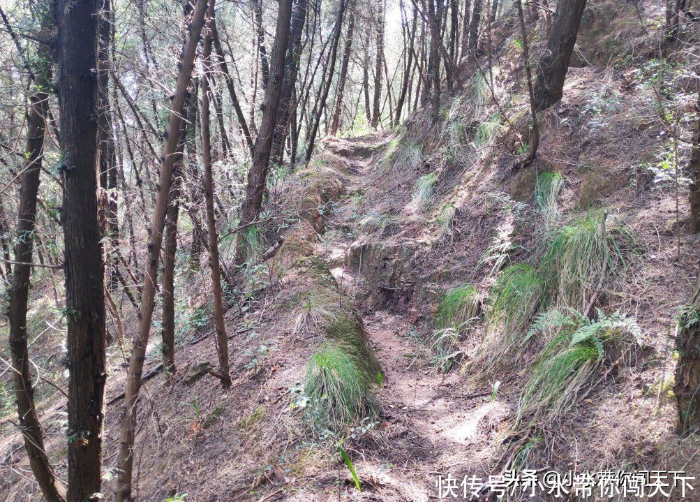 探访卧龙山风景区内的三国遗迹，饮马池和拴马树是否真的存在？