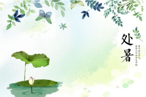 秋季|处暑到来：多吃三“白”少吃三“青”，顺应节气，开启入秋好身体