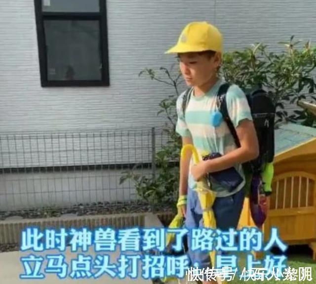 家庭教育|一日本男孩的早晨走红,打脸中国家长,“溺爱”是孩子的“毒药”