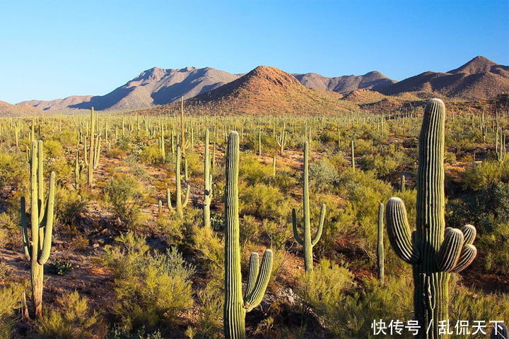 火焰山 地球上最热的10个地方，最热的地表温度能达到94度