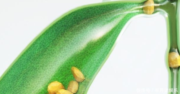 消失|日本专家不吃早餐,九成毛病都消失看完你或许会有一个权衡!