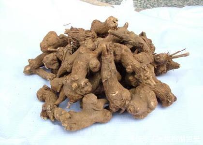 白术,补土调脾胃最好用的中药,补养后天气血,这8种人用最适合