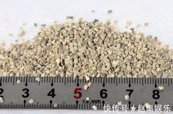 土壤|养花不用买土,用这几样东西掺一块儿,种什么花草都旺