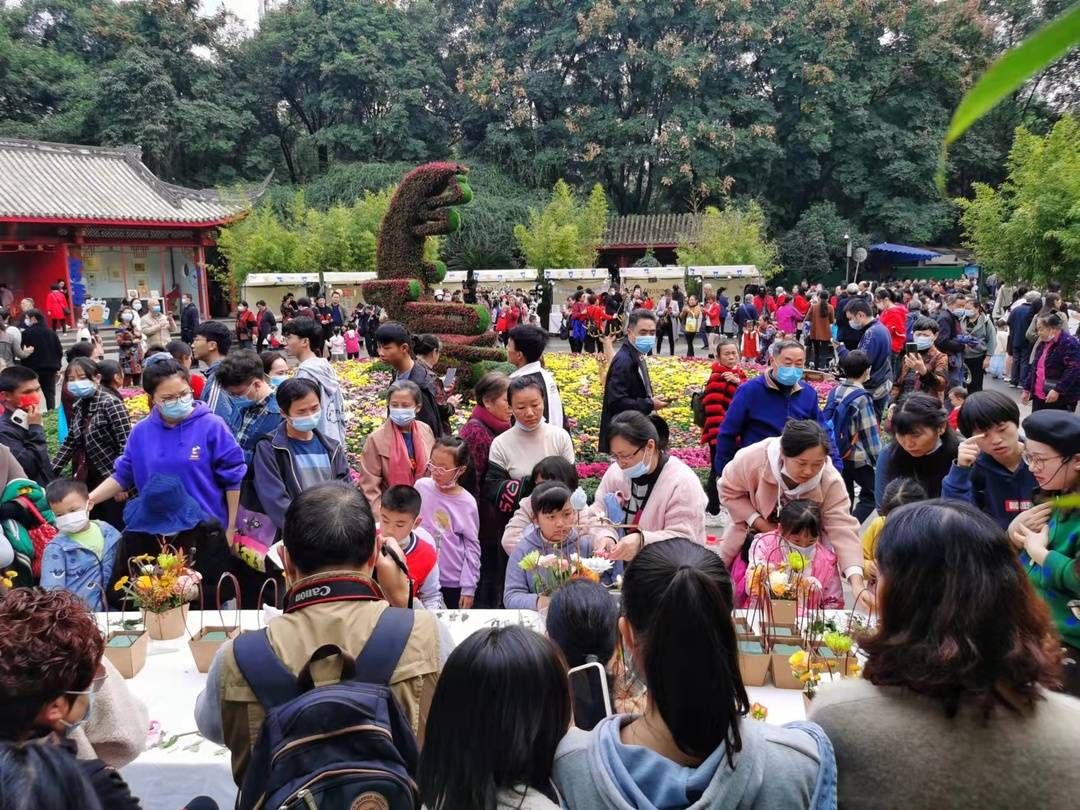 茶艺师$在茶香墨韵中传承菊文化，成都市第五十九届菊花展等你来打卡