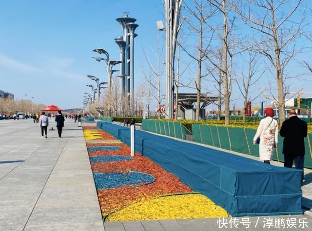 老年|百花未放,奥匹公园颜值依然在线,幕后功臣竟然是它