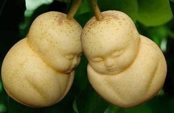 吴承恩&为何西游记中的“人参果”,放在超市水果店里,几乎没有人买