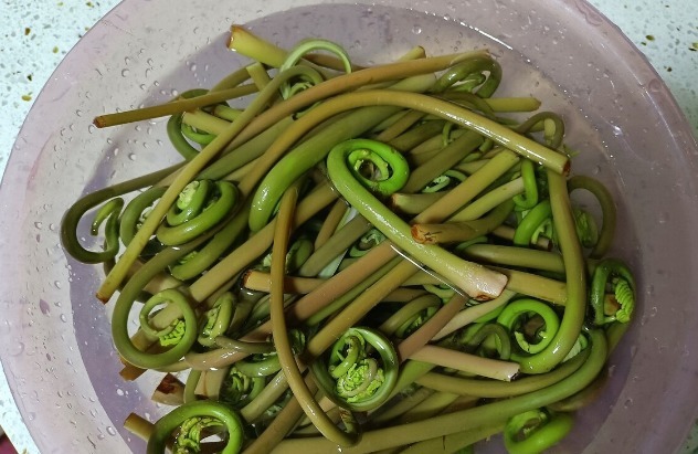 野菜|春天挖野菜,送你56种野菜大图片,带你见识不同的野菜和吃法