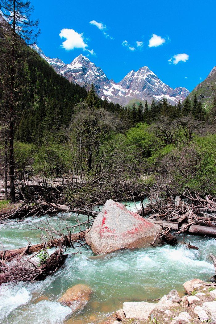 枯树滩|东方圣山，户外天堂——四姑娘山自驾徒步之旅