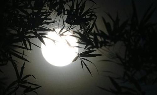 李白最经典的一首诗,开篇就惊艳了世人,堪称唐诗巅峰之作