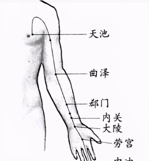 黄金时间|一天干这三件“大事”，健康养生事半功倍！每天这样做才叫养生