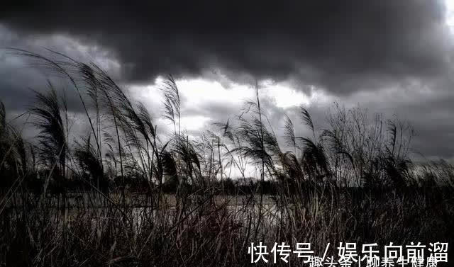 阳虚|秋季,阳气越来越弱!这3件事你一定要知道,滋阴同时也需要固阳