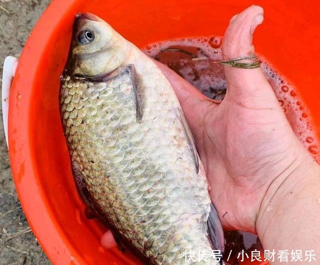 钓鱼人的“福利”:政府搭建钓台规划垂钓区,全国即将“推广”?