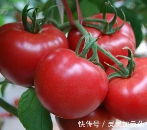 香味|70年代最让人怀念的几种食物，口感以及香味现在已经很难吃到！