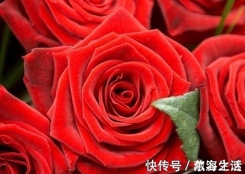 陌越|恭喜!2021年运势枯木逢春,财运爆发,喜事成堆的3生肖!