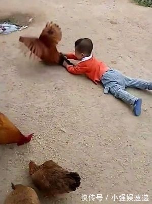 手机|手机控宝宝到农村一个月大变样，只是奶奶家的鸡倒霉了