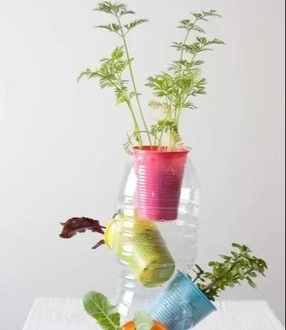 植物|没地种花种菜,没时间浇水几个塑料瓶就能解决,DIY变废为宝