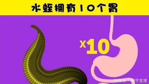 感受器 虽然很有趣,但并不是每个人都听说过的7个冷知识