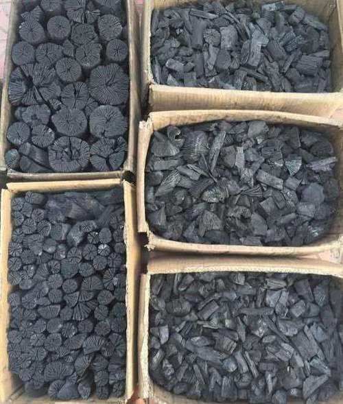 蟹爪兰烂根了，不用嫁接，盆里放2样东西，10年不烂根