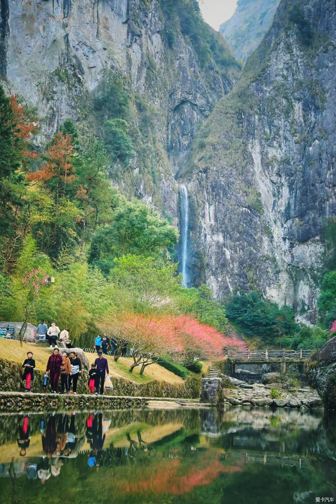 疏影横斜水清浅，赏梅记