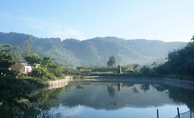 乡村|这个六一，带着孩子到海南“五椰乡村”去撒欢