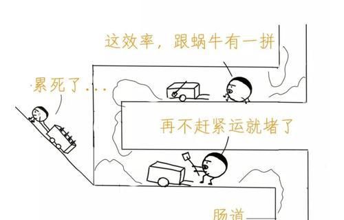 辩证|?一吃饭就胃胀?是因为“胃痞”!4类中成药辩证使用,对症治疗