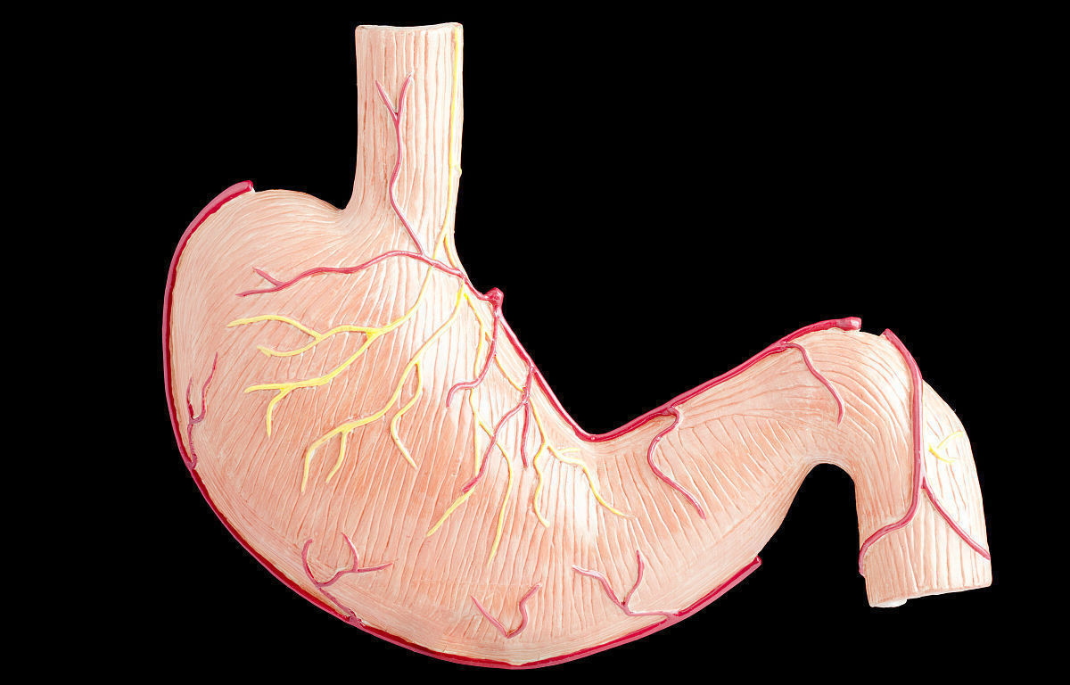 胆囊息肉|身体出现五种小病,最好及时治疗,一拖再拖会变成恶性肿瘤