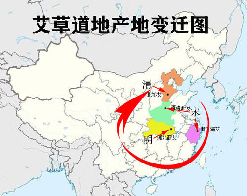 产地|哪里产的艾草更好?谈谈艾草的道地产地。