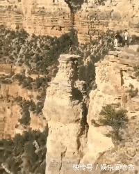 |搞笑GIF:这个猴的进化是不是太快了,脸已经成形了!