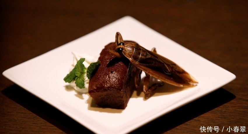 重口“美味”,你敢吃吗,我看了都怕了!