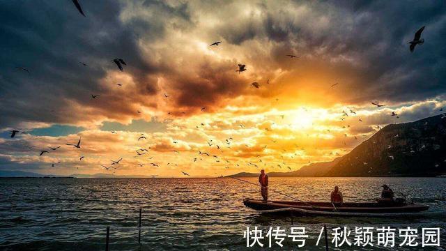 在我国泛滥的水葫芦，弱点实在太好笑，只用一招就能将它们团灭