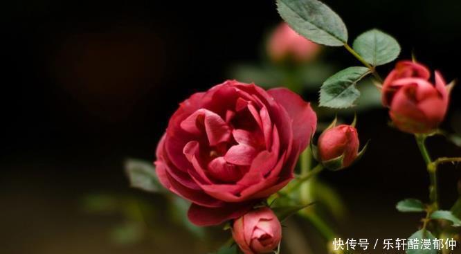 夜夜|天赐大吉兆,夜夜都偷笑,铁定变成有钱人的3属相