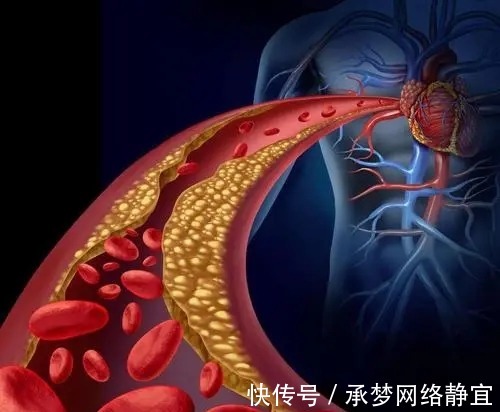 维生素b|睡前坚持吃一粒维生素E,时间长了,会发生哪些变化呢?来了解下