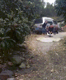 尴尬|妹子,当伴娘注意点形象好吗?被伴郎看见多尴尬,长点心吧!