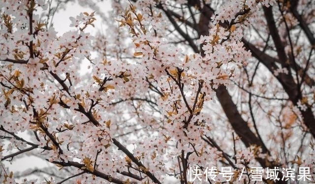 属兔|未来一周，聚散一念，满眼失望，保持初心，摆脱前任彼此珍惜一生