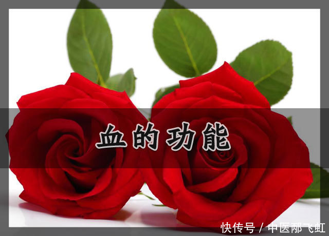 中医气血中'血'的相关概念是什么?深入浅出的讲解非常易懂!