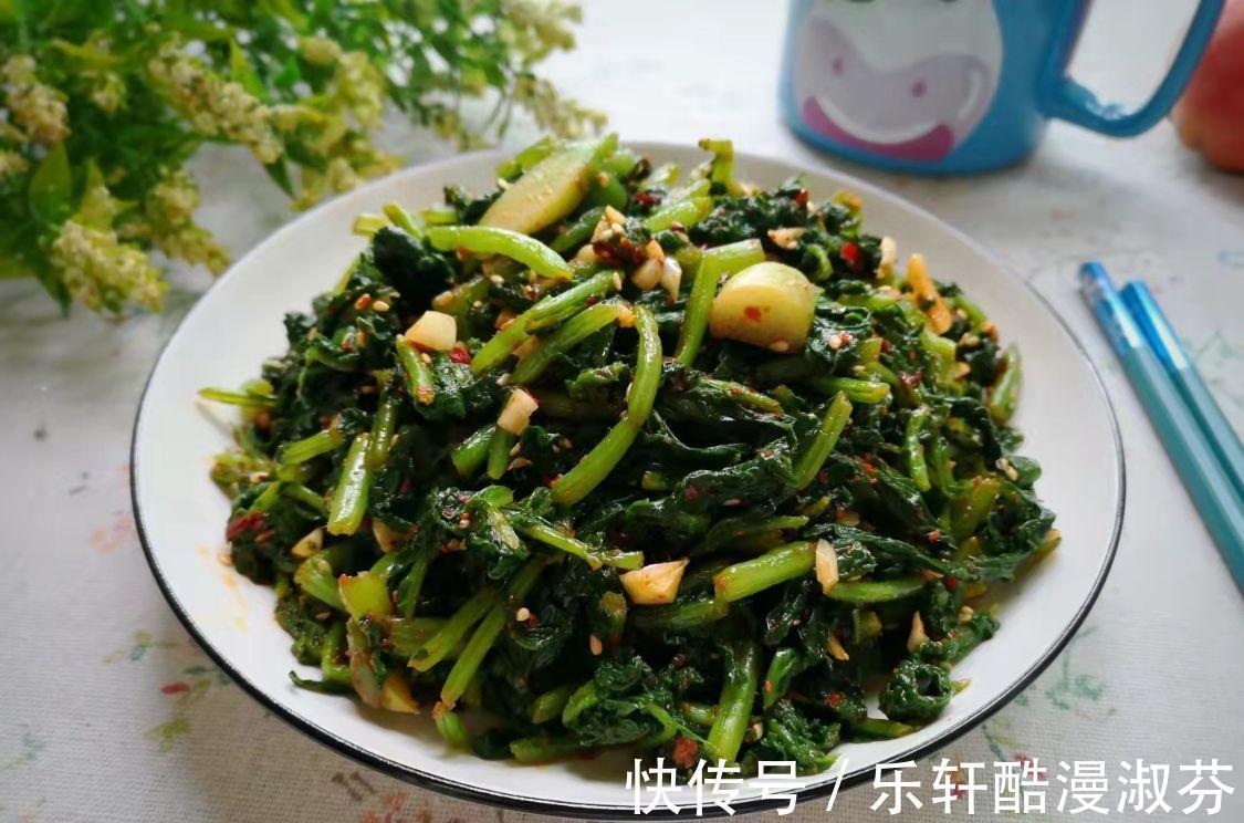 鲜嫩|蔬菜中的“人参”，叶子营养极高，9月正鲜嫩，鲜嫩翠绿特下饭！