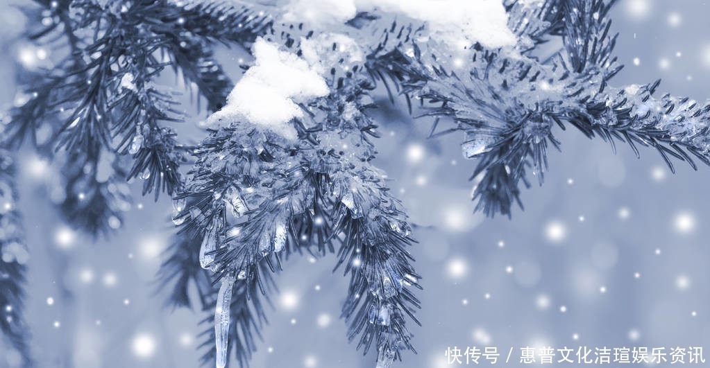 咏雪|白居易深夜被冻醒,写下一首20字小诗,新颖别致,被誉为咏雪佳作