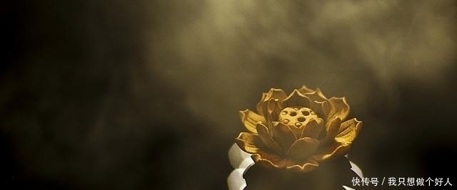 规律!易经:一个人能成事,除了努力,还要悟性,掌握时机有3个诀窍