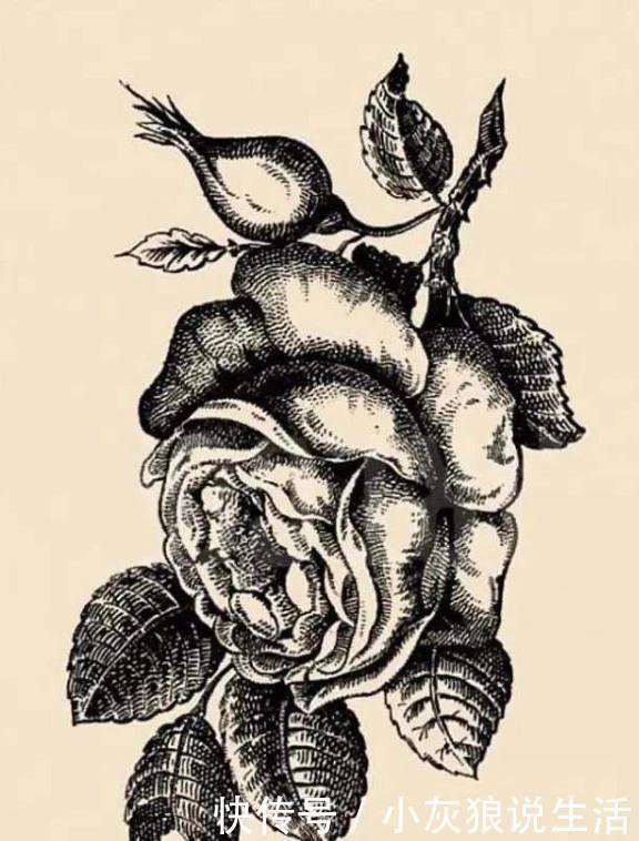 中老年|有趣的老年痴呆测试花朵中有一张女人的脸,你能在10秒内找到吗