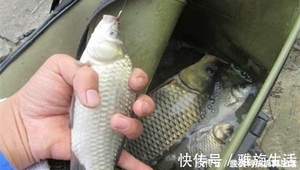 鱼钩|七星漂钓组的搭配和调漂技巧,野钓鲫鱼最靠谱钓法,钓鱼人必学